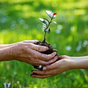 Habilitação Técnica por Competência em Meio Ambiente