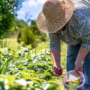 Técnico Intensivo em Agricultura